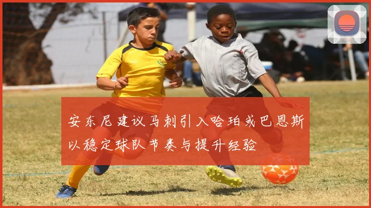 安东尼建议马刺引入哈珀或巴恩斯以稳定球队节奏与提升经验