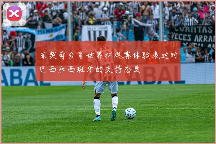 东契奇分享世界杯观赛体验表达对巴西和西班牙的支持态度